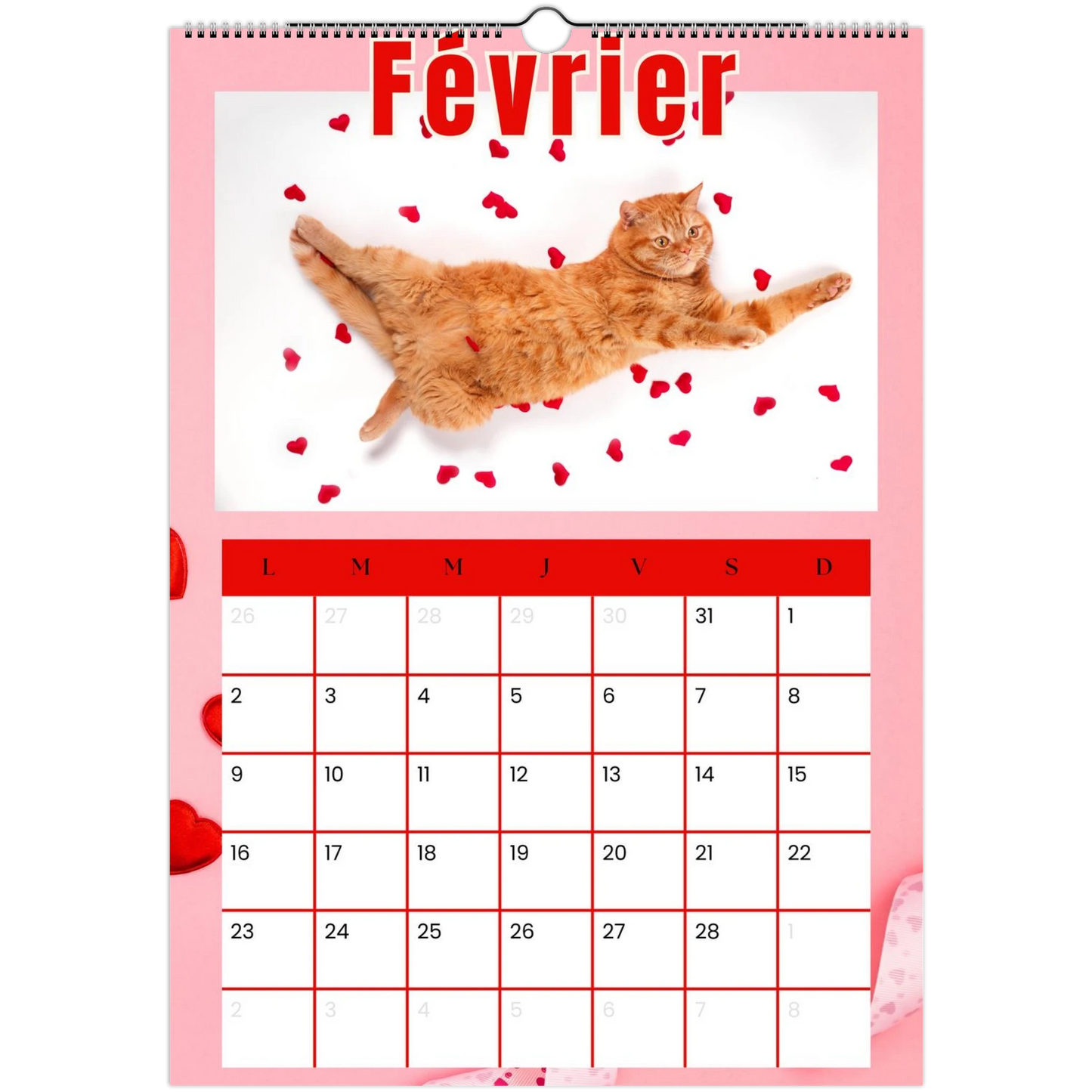 990b350e-fa50-429b-ab16-60492175ad65