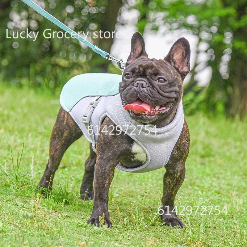 Summer Pet Dog Cooling Vest Harness Quick-Dry Pet Clothes Reflective Coat Cool Jacket For Small Medium Large Dog Cats Clothing
