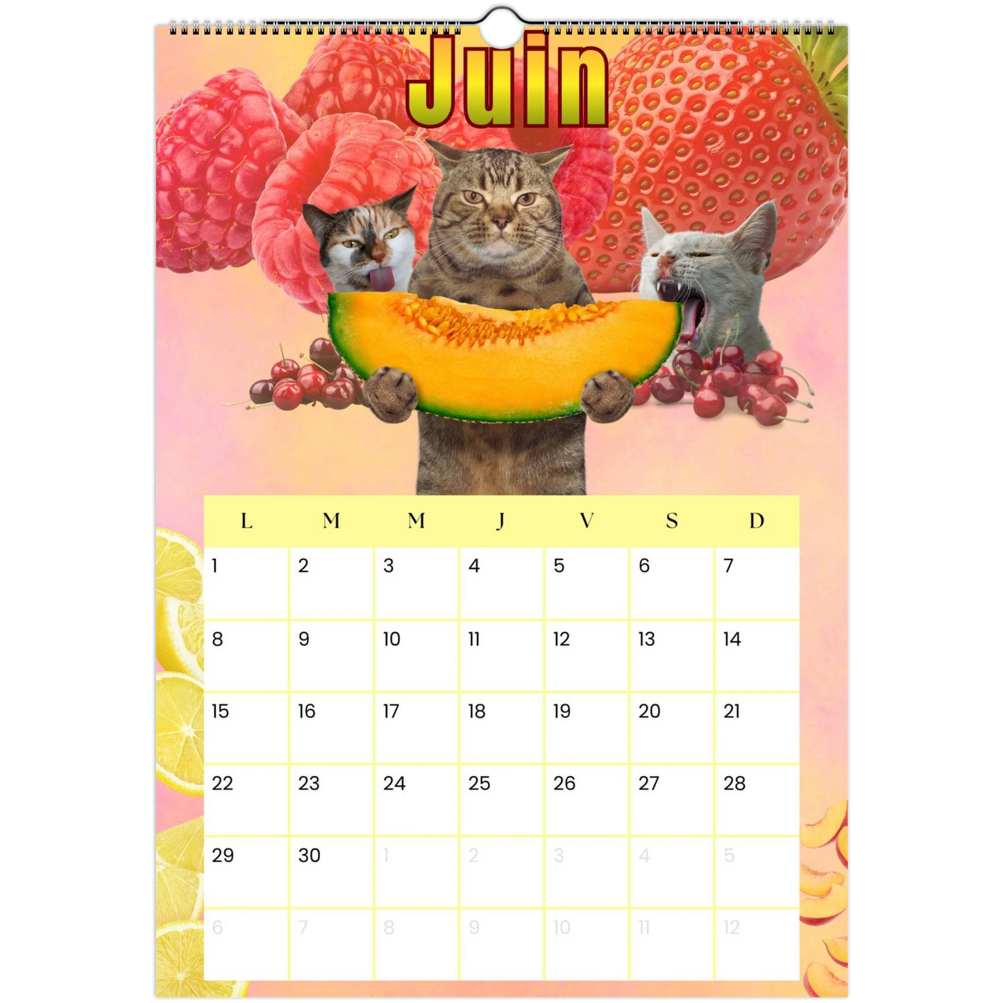 3dce9523-7101-4d92-8ebe-db5bfa11a095