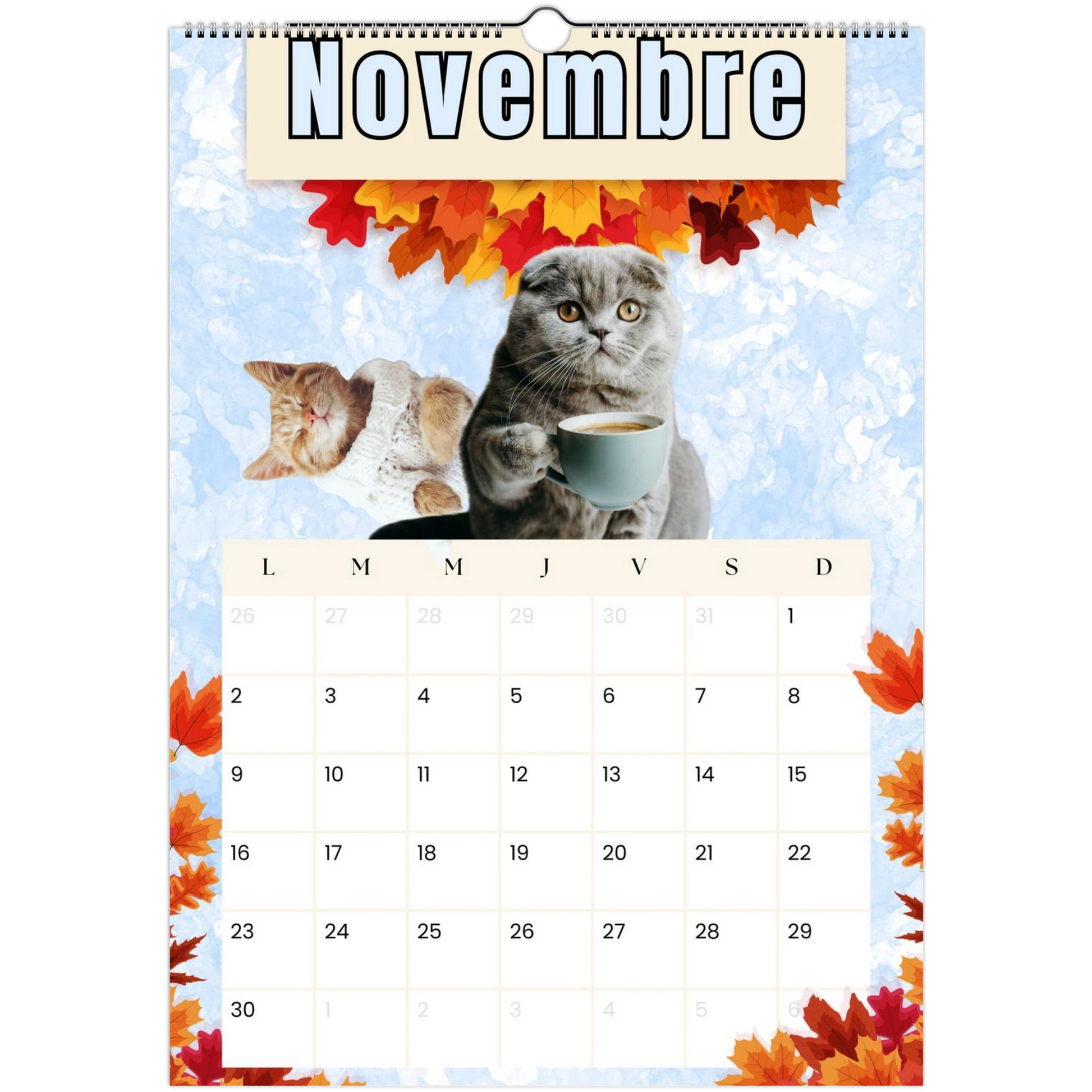 5db6f119-4ccc-4e8a-90f5-77b5a221fd48