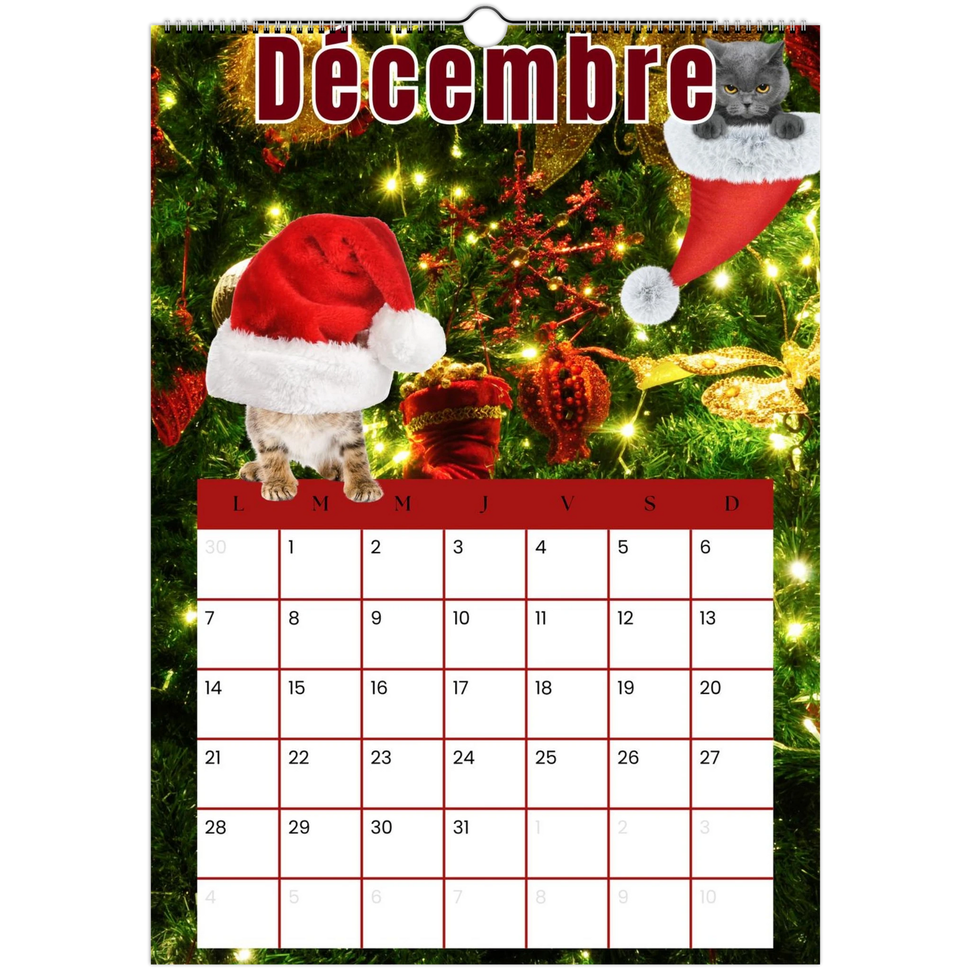 5e618ca0-1214-4bb2-9142-f7bd1ee54517