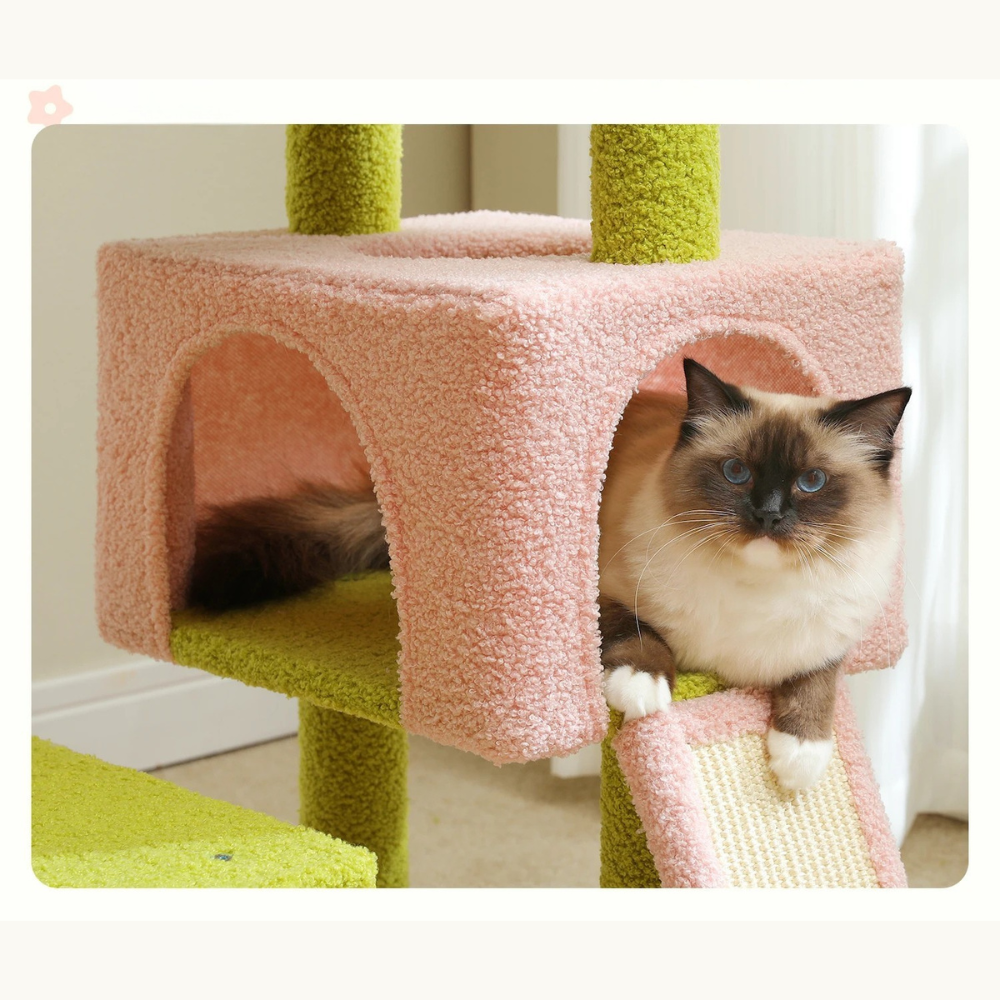 Arbre à chat Floral