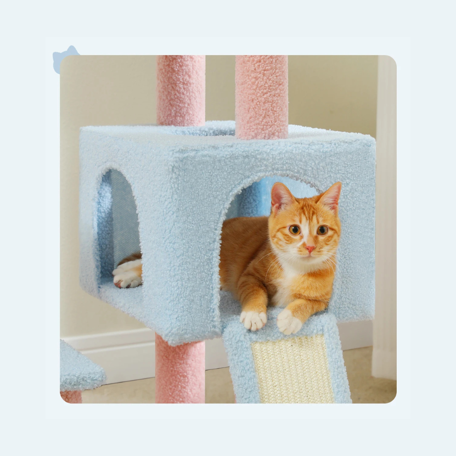 Arbre à chat Floral