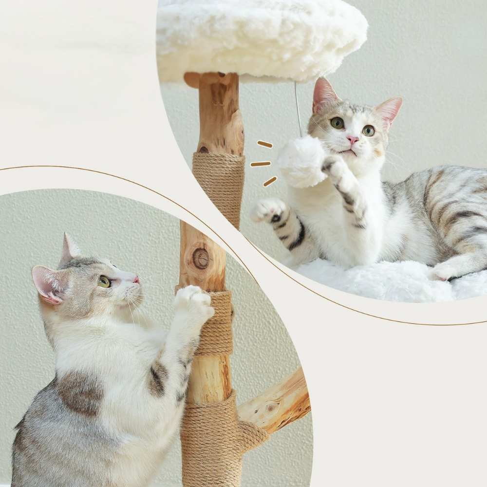 Arbre à chat Douceur Nuagée