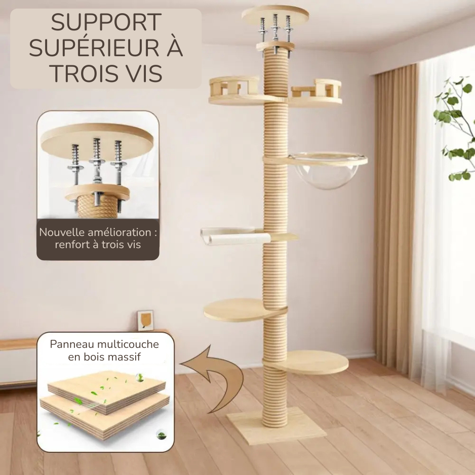 Arbre à chat Céleste