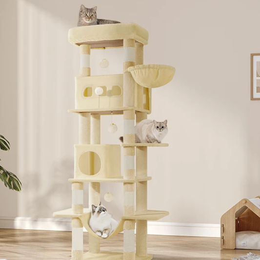 Arbre à chat Majestueux