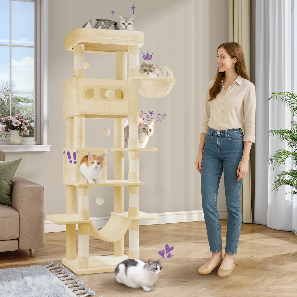 Arbre à chat Majestueux