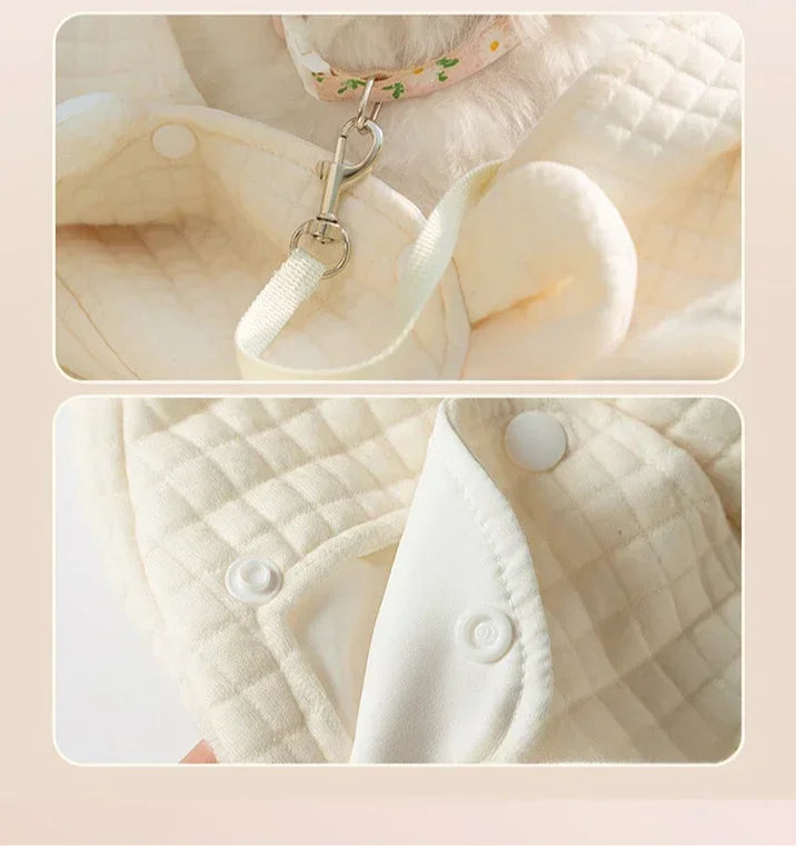 Adjustable Teddy Dog Bag for Small Dogs Cat Chest Bag Backpack Portable Dogs Carrier Cat Bag Puppy Backpack Chihuahua