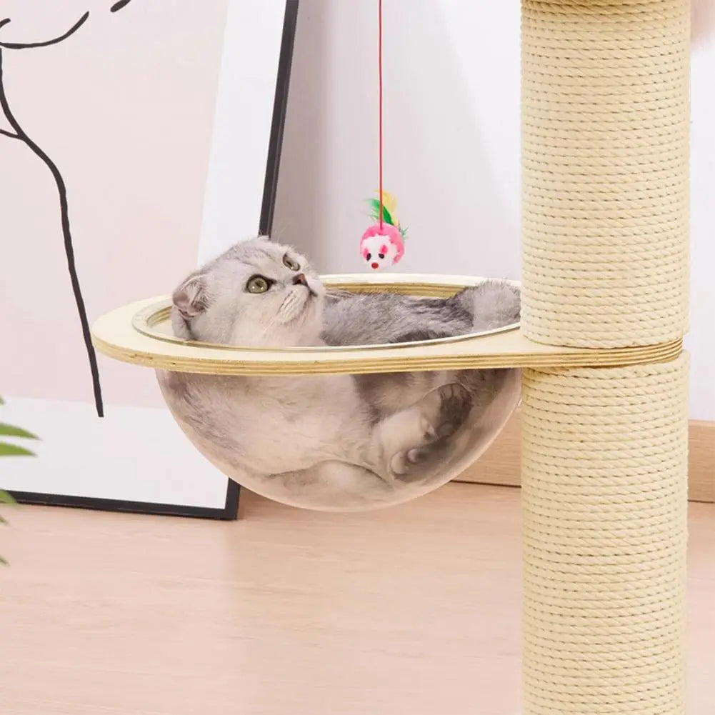 Arbre à chat Céleste