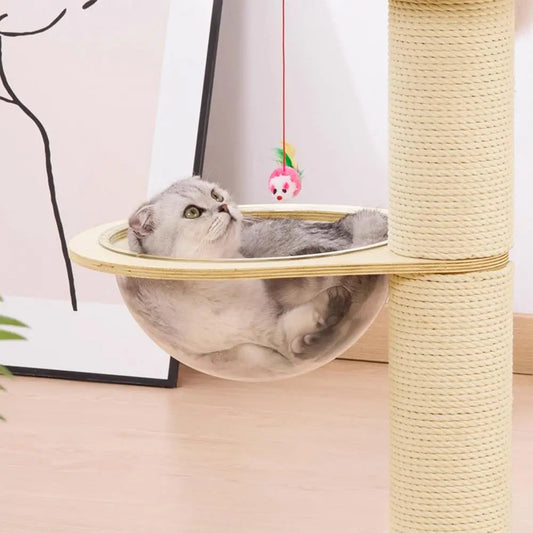 Arbre à chat Céleste