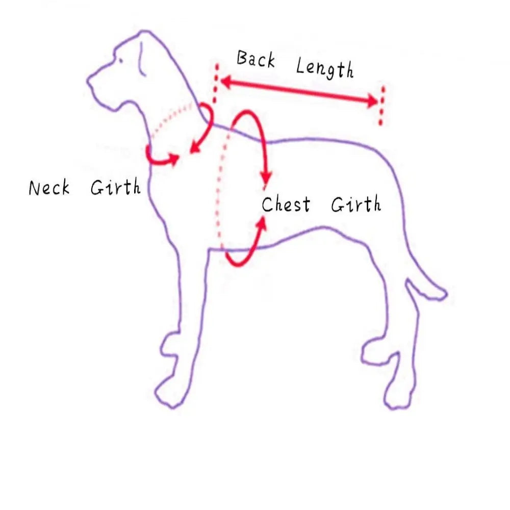 Trendy Funny Dress Up Cowboy Rider Dog Costume for Small And Medium Dogs Lovely New Year Outfit Halloween Cosplay Warm