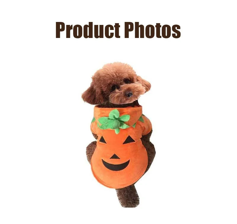 New Pet Halloween Pumpkin Clothes High Quality Easy To Wear Cute Dress Up Small Dog Party Cosplay Hooded Sweatshirt Pet Supplies