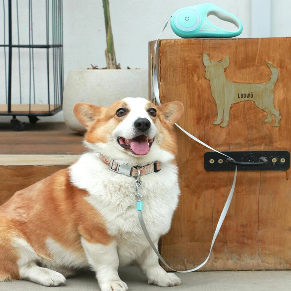 3M 5M Automatic Retractable Traction Rope LED Luminous Light Straps Dog Leash For Small Medium Dogs Pet Products