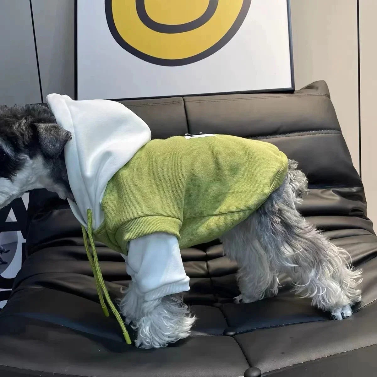 Dog Clothes Winter Dog Hooded Sweatshirt Warm French Bulldog Puppy Coat for Small Medium Dogs Pet Costume Chihuahua Pug