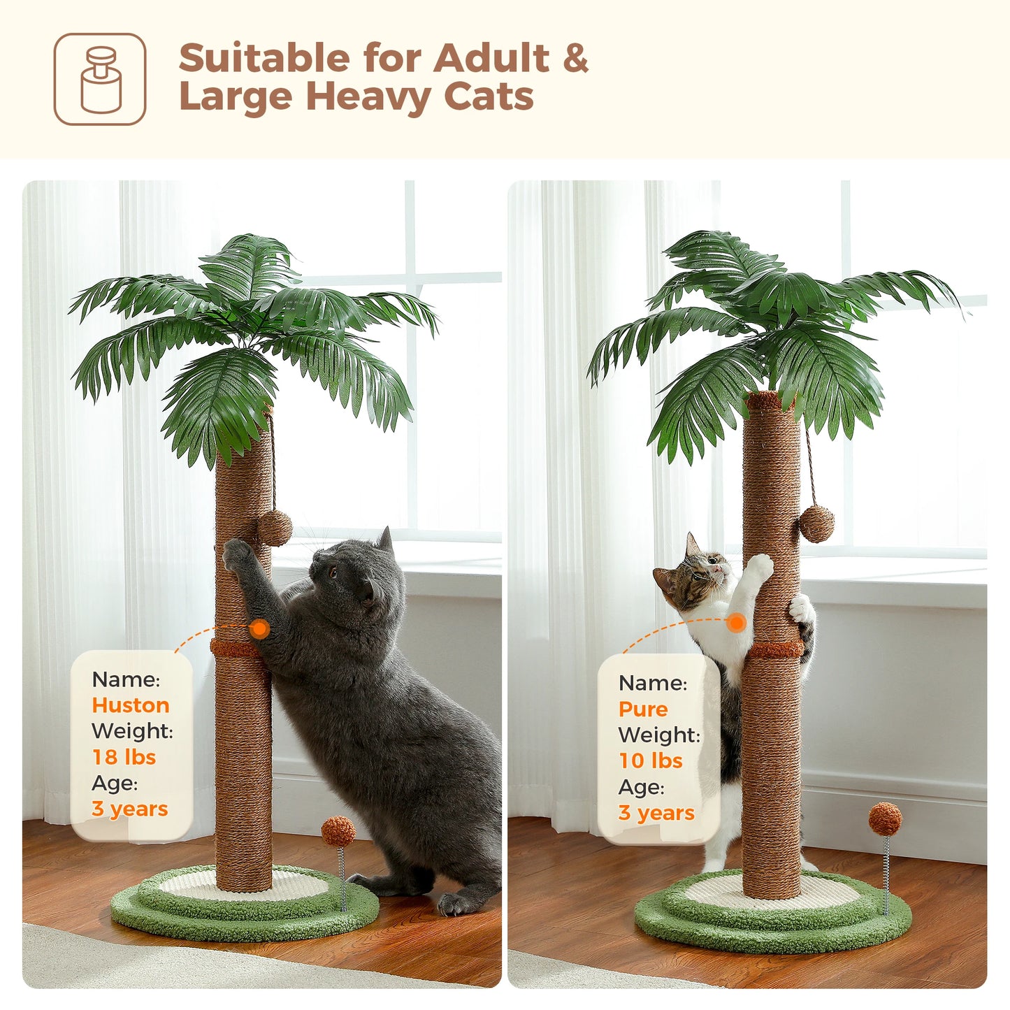Cat Scratching Post with Spring Ball, Tall Cat Scratcher for Indoor Cats, Sisal Cat Scratch Post with Hanging Ball, Kitten Toys