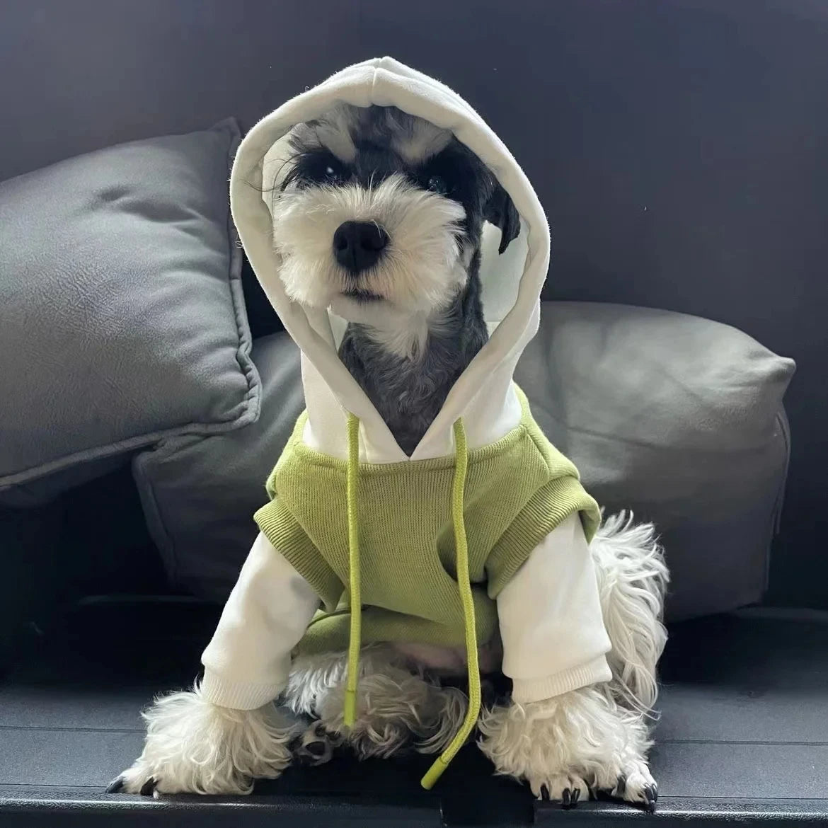 Dog Clothes Winter Dog Hooded Sweatshirt Warm French Bulldog Puppy Coat for Small Medium Dogs Pet Costume Chihuahua Pug