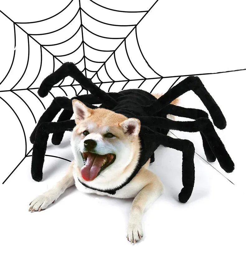 Halloween Funny Spider Costume Creative Cat Dog Clothes for Small Medium-sized Dog Clothings Halloween Cosplay Pet Accessories